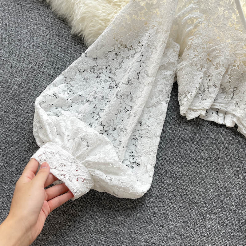 Solid Color Elegant V-Net Lantern Sleeve Lace Top - Sheer Back Tie Detail Women's Fashion Blouse