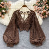 Solid Color Elegant V-Net Lantern Sleeve Lace Top - Sheer Back Tie Detail Women's Fashion Blouse