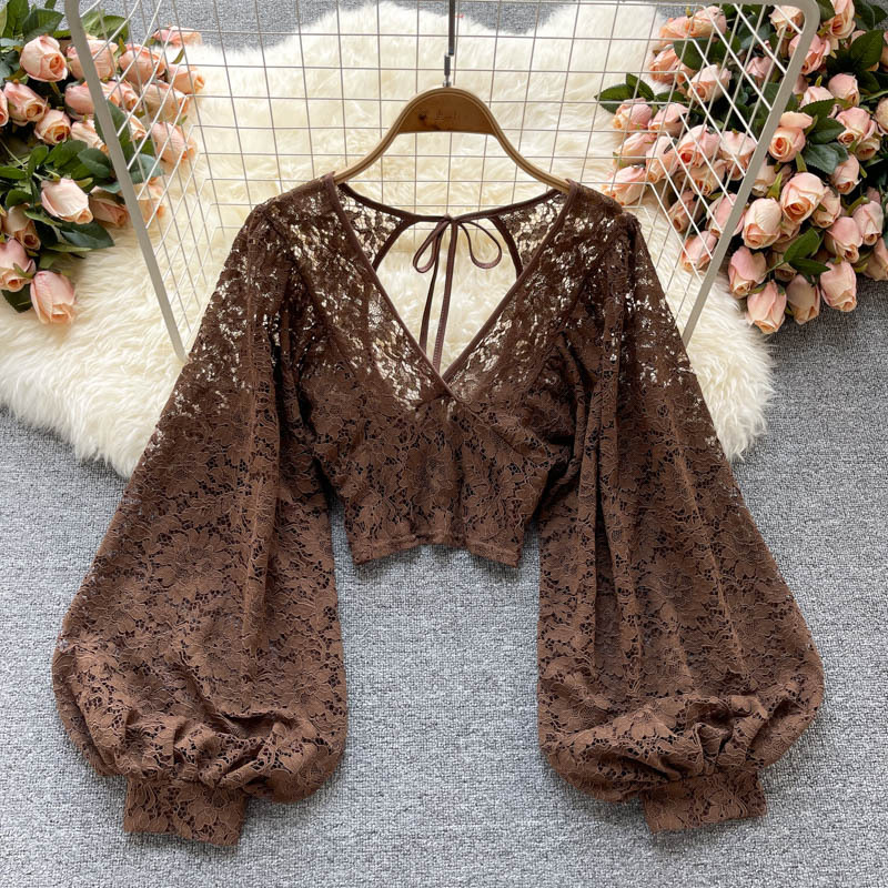 Solid Color Elegant V-Net Lantern Sleeve Lace Top - Sheer Back Tie Detail Women's Fashion Blouse