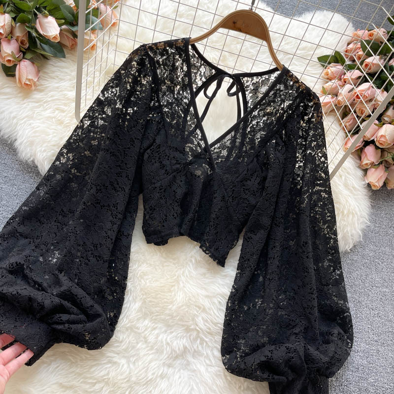 Solid Color Elegant V-Net Lantern Sleeve Lace Top - Sheer Back Tie Detail Women's Fashion Blouse