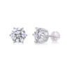 Years Quiet Good Luxury Fashion Diamond Earrings Stud Mosan Diamond Silver Jewelry