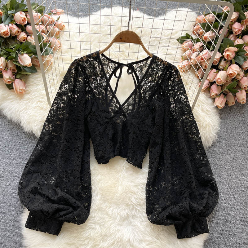 Solid Color Elegant V-Net Lantern Sleeve Lace Top - Sheer Back Tie Detail Women's Fashion Blouse