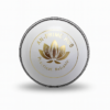 Premium Hand-Stitched Leather Cricket Ball