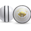 Premium Hand-Stitched Leather Cricket Ball