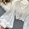 Solid Color Elegant V-Net Lantern Sleeve Lace Top - Sheer Back Tie Detail Women's Fashion Blouse