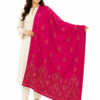 Elegant Handmade Kashmiri Embroidered Mini-Shawl/Stallar - 80 × 30 Inches